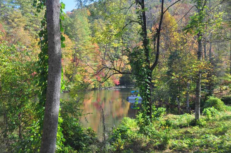 lake scene